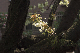 image0152