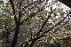 image0153