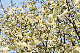 image0159