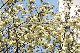 image0164