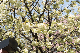 image0170