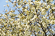 image0172