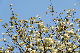 image0173