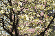 image0175