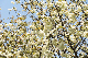 image0176