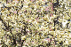 image0183