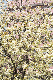 image0190