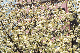 image0192