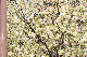image0193