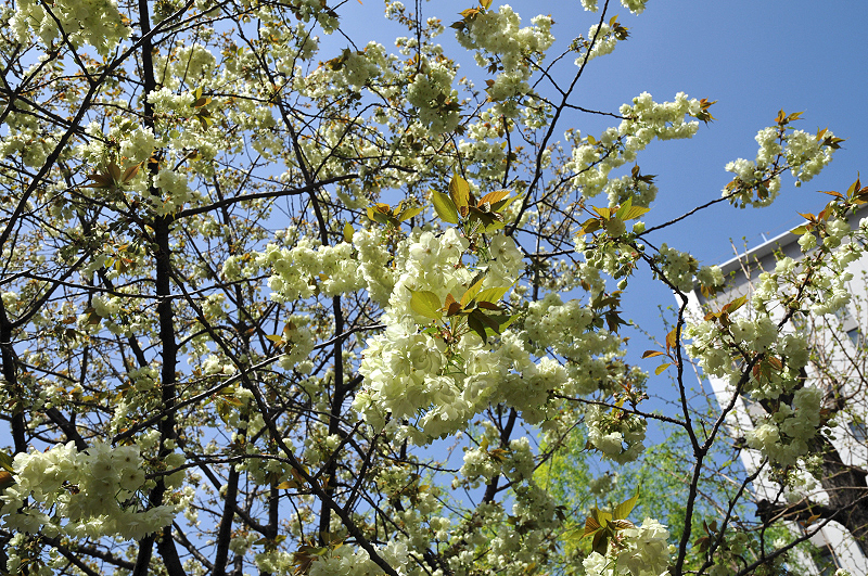 image0065