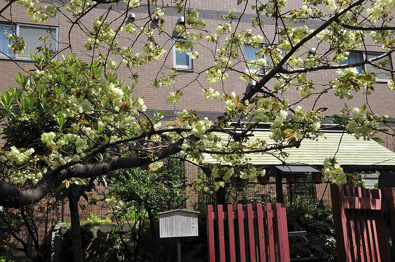image0079