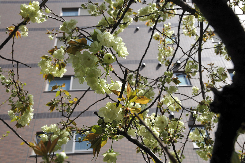 image0095