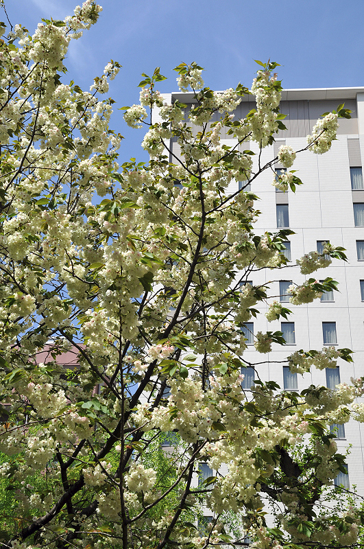 image0104