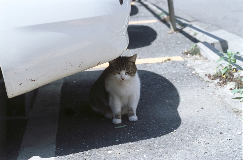 image0032