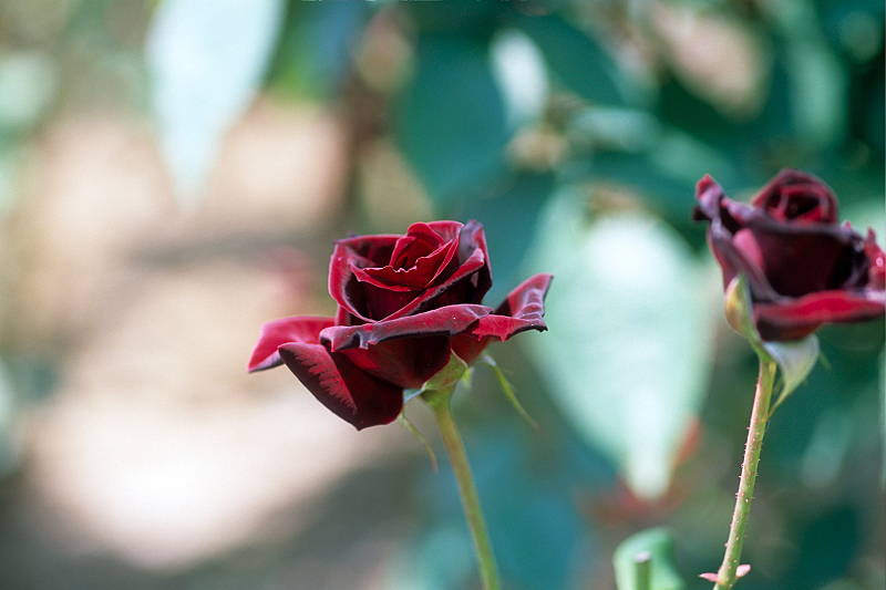 image0047