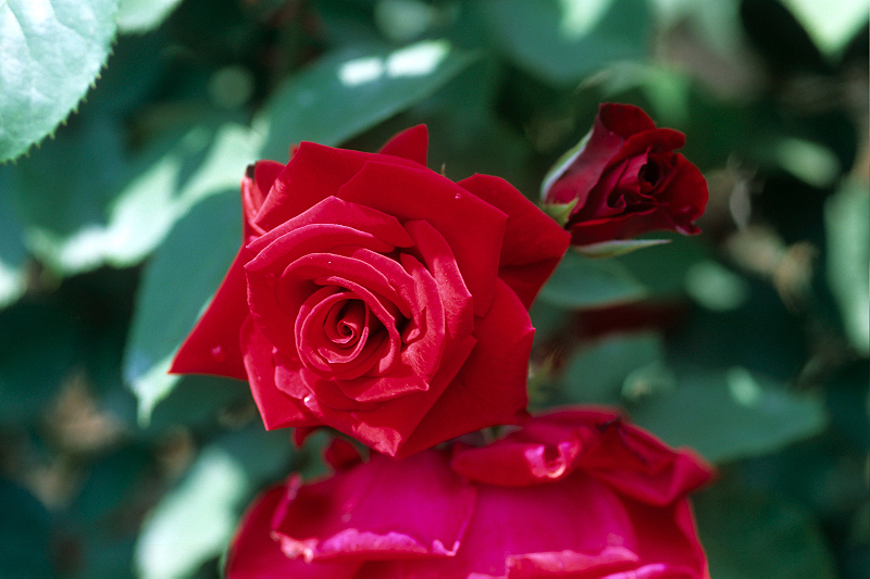 image0049