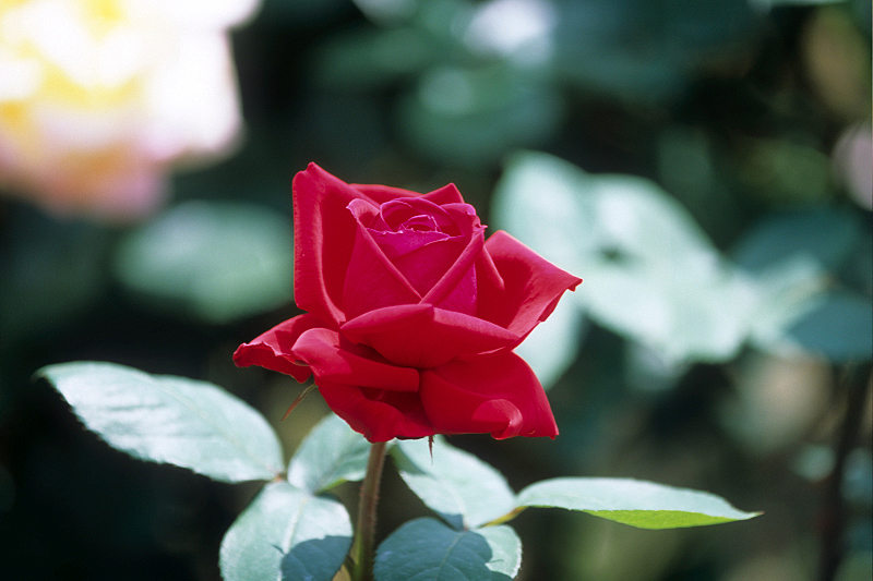 image0073