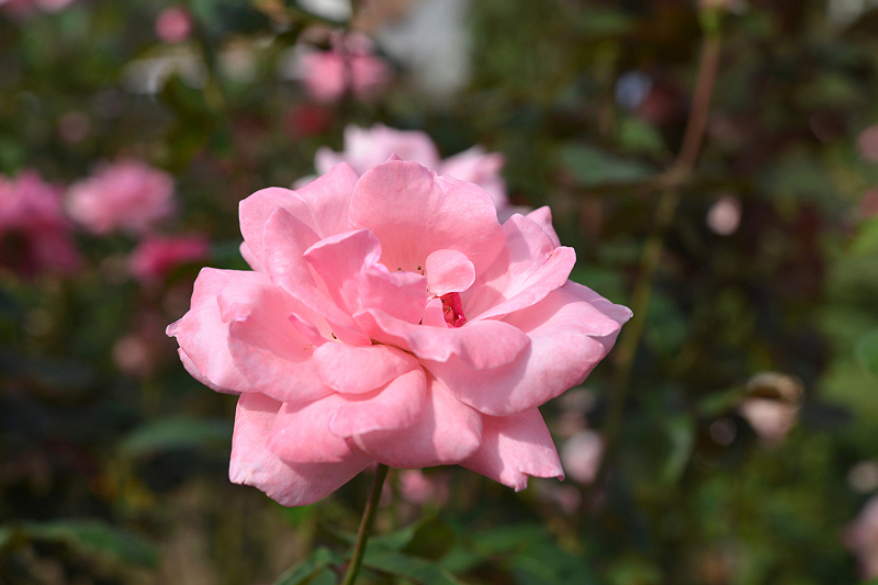 image0101