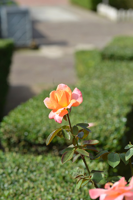 image0112