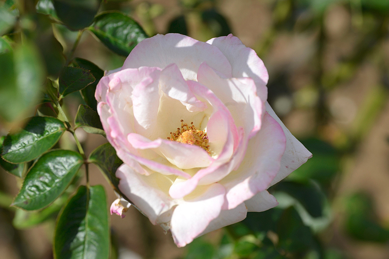 image0120