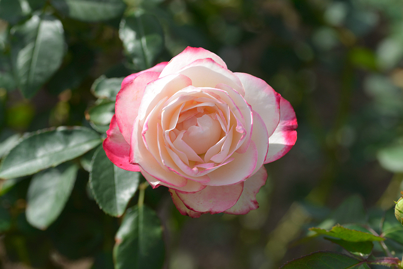 image0127