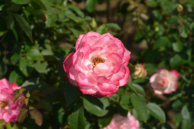 image0143