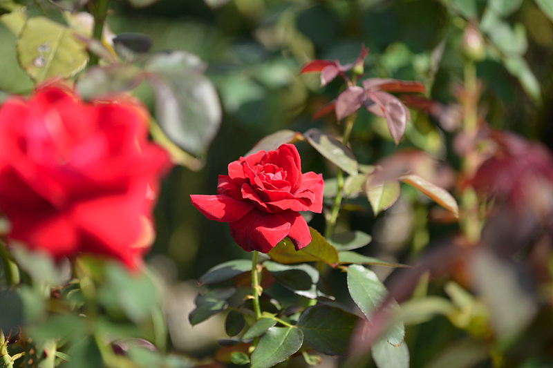 image0158