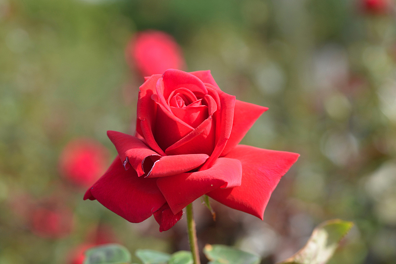 image0189