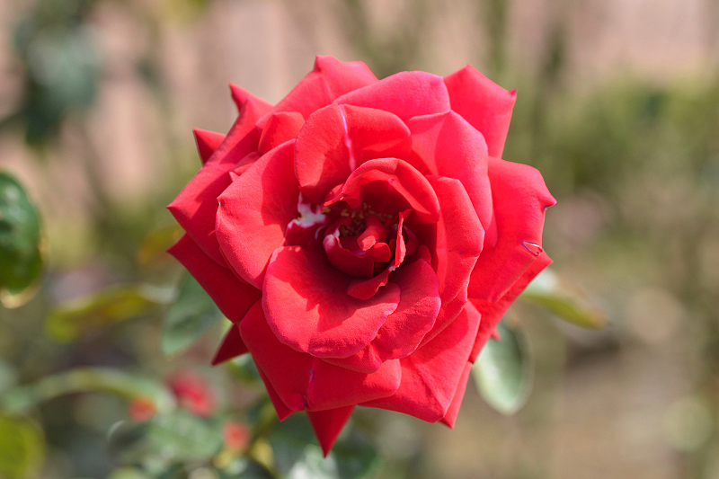 image0190