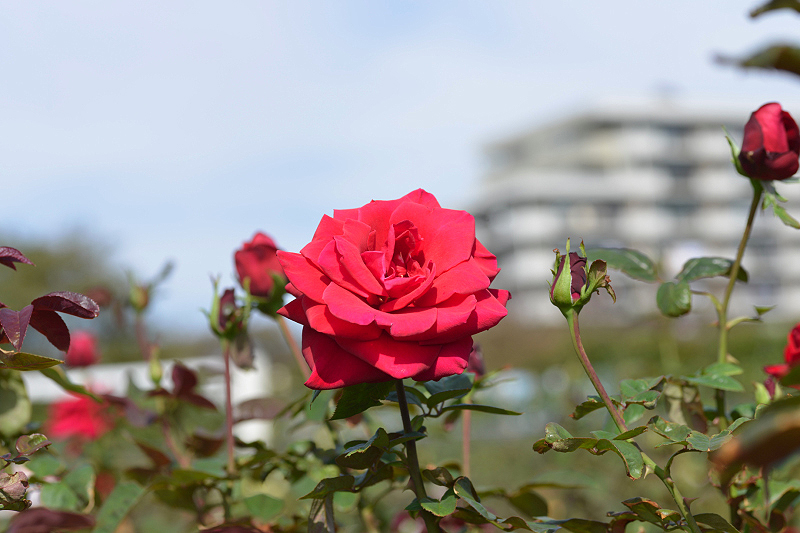 image0191