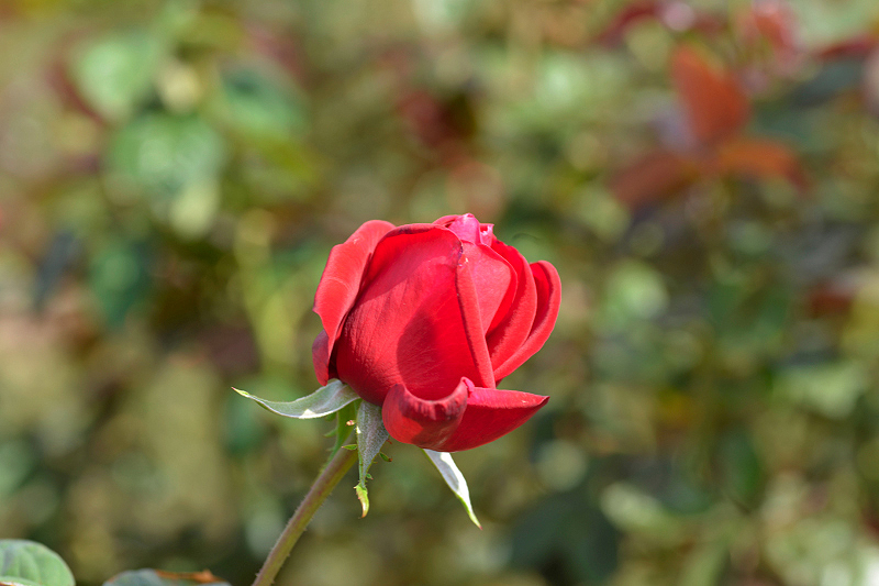 image0192