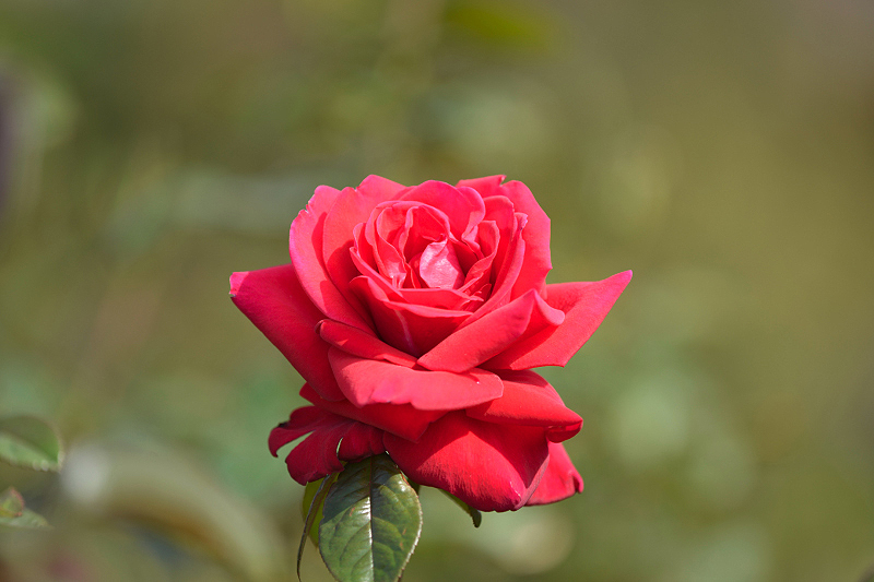 image0193