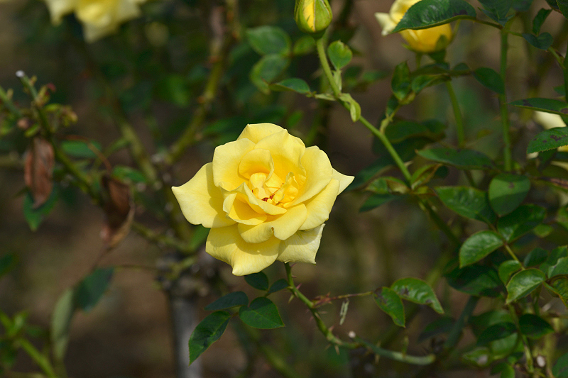 image0197