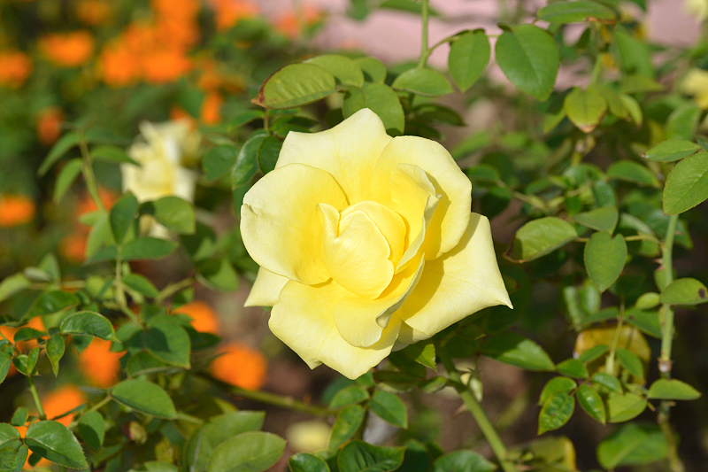 image0200