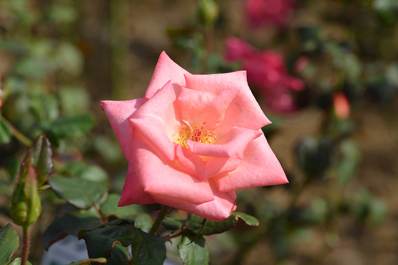 image0201