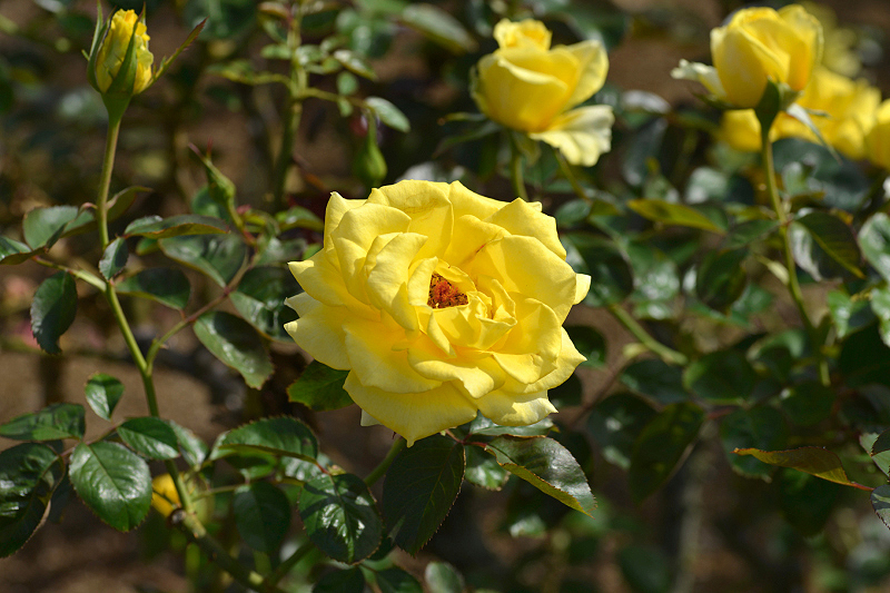 image0202
