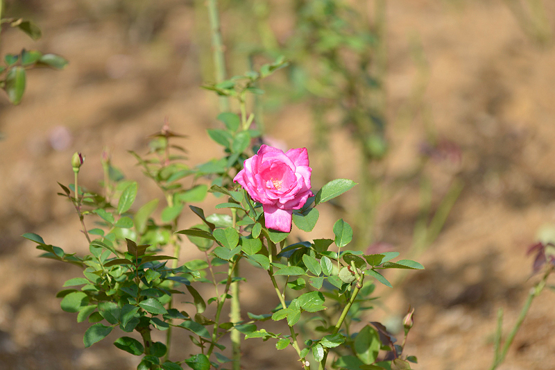 image0211
