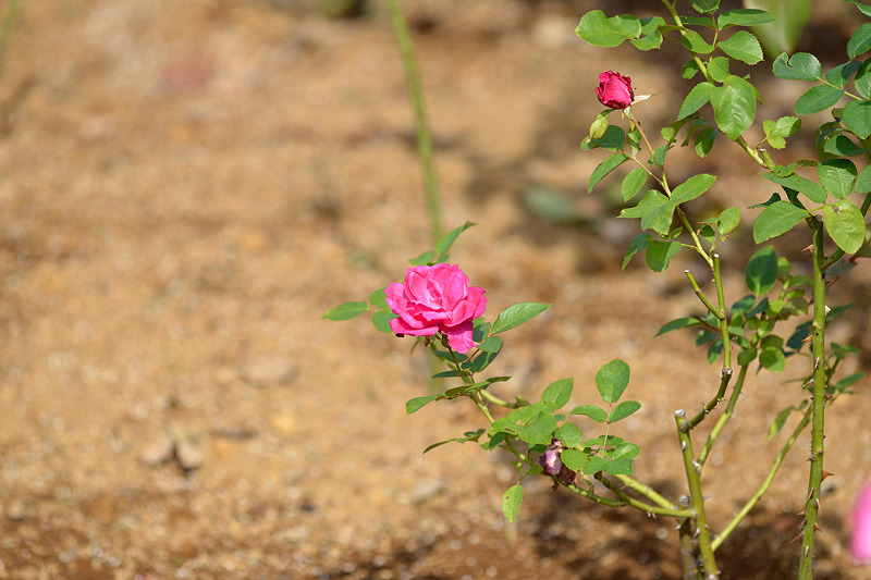 image0213