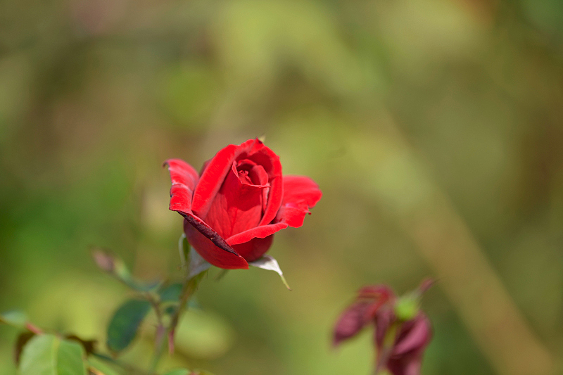 image0215