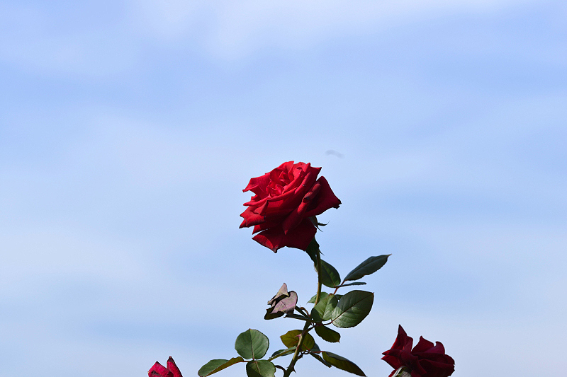 image0216