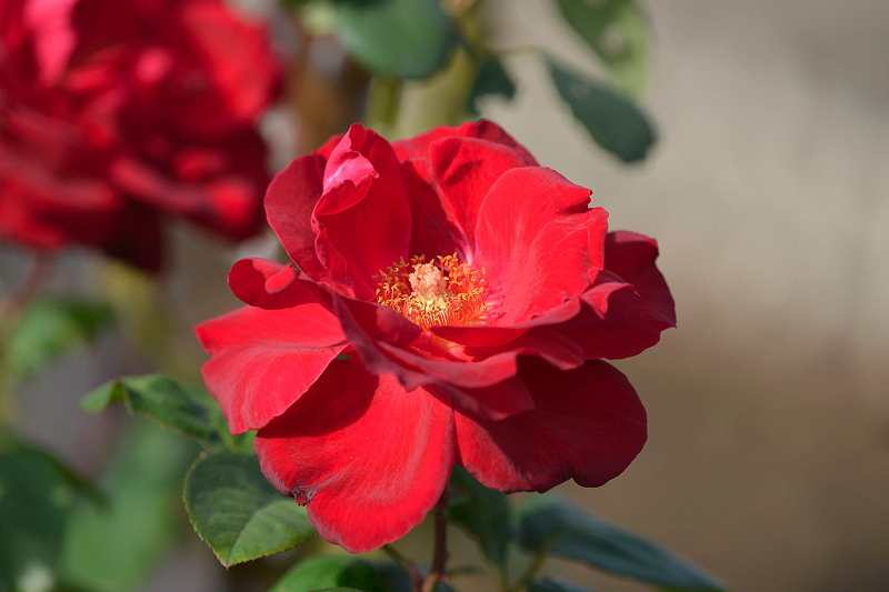 image0217