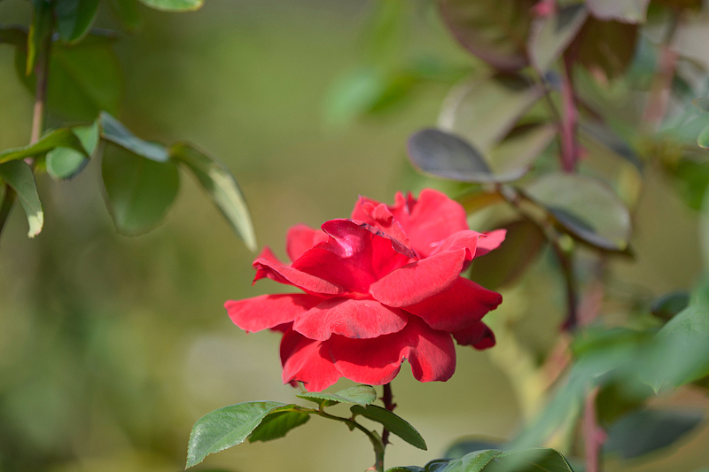 image0218