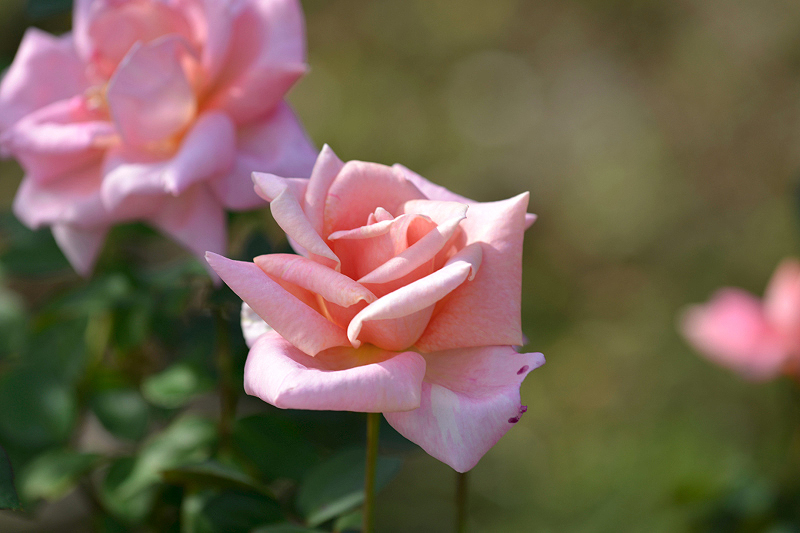image0219