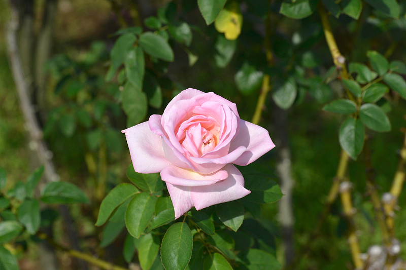 image0220