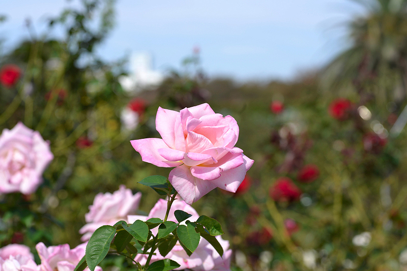 image0221