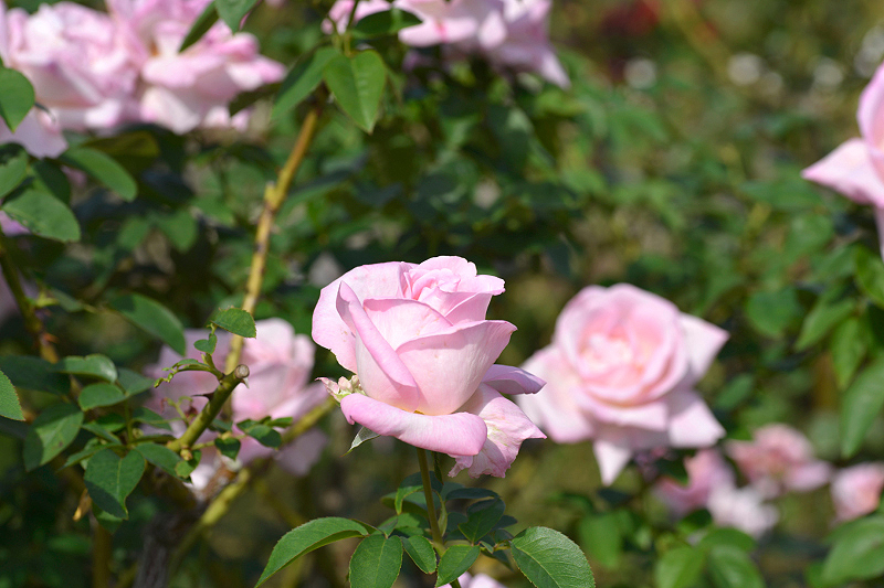 image0222