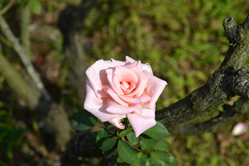 image0223