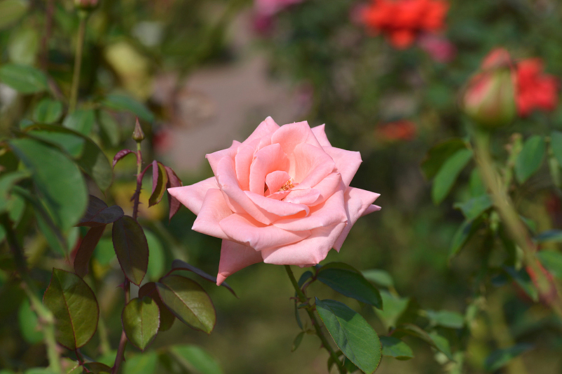 image0231