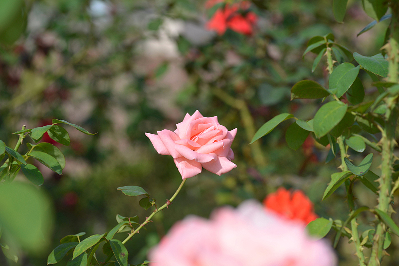 image0232