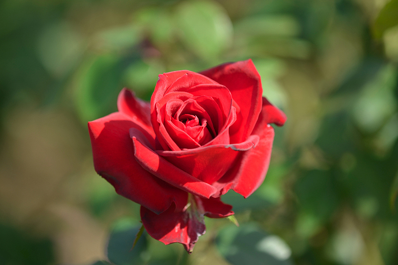 image0233